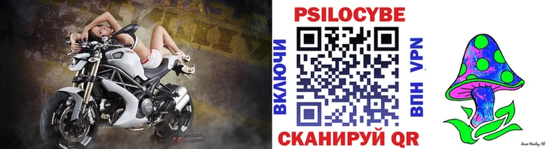Псилоцибиновые грибы Psilocybine cubensis  Рубцовск 