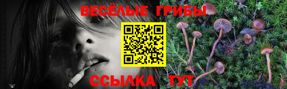 Псилоцибиновые грибы GOLDEN TEACHER Рубцовск